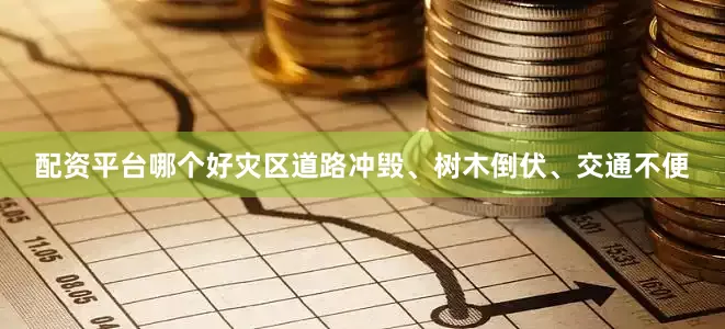 配资平台哪个好灾区道路冲毁、树木倒伏、交通不便