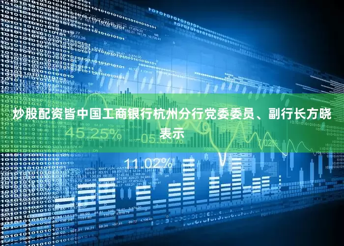 炒股配资皆中国工商银行杭州分行党委委员、副行长方晓表示