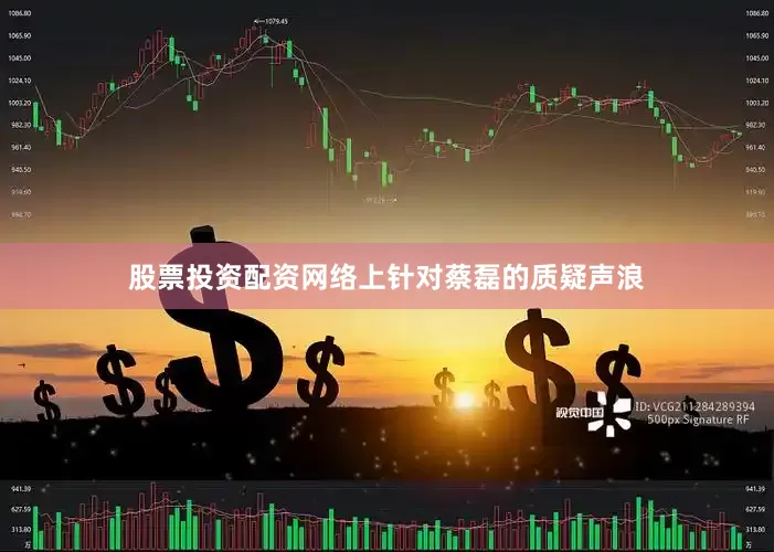 股票投资配资网络上针对蔡磊的质疑声浪