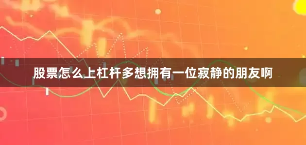 股票怎么上杠杆多想拥有一位寂静的朋友啊